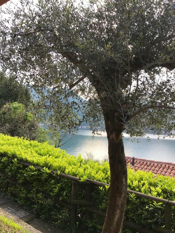 App. Monte Isola Vista Panoramica Βίλα Εξωτερικό φωτογραφία
